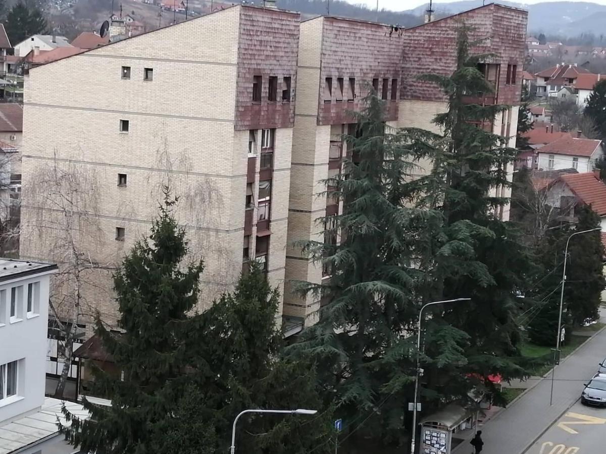 Apartman Vesna Banja Koviljača Exteriér fotografie
